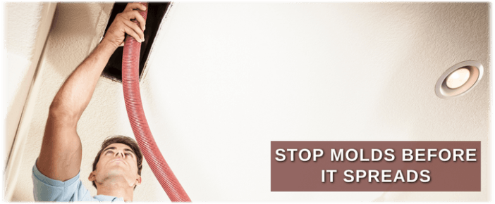 Air Duct Mold Removal in Menifee