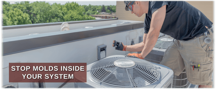 HVAC Mold Removal Menifee